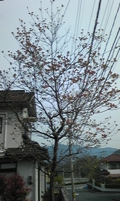 e0143667_14112880.jpg