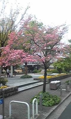 e0143667_1472848.jpg