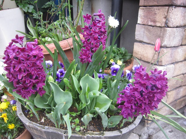 c0202870_734438.jpg