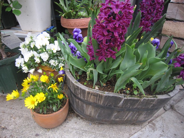 c0202870_7351695.jpg