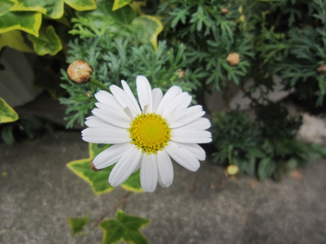 c0202870_740922.jpg
