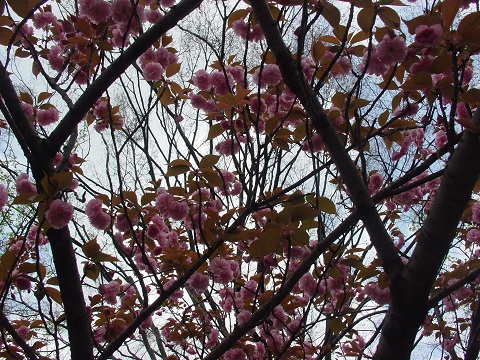 b0194872_236877.jpg