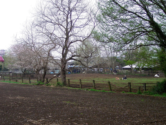 d0225575_995190.jpg