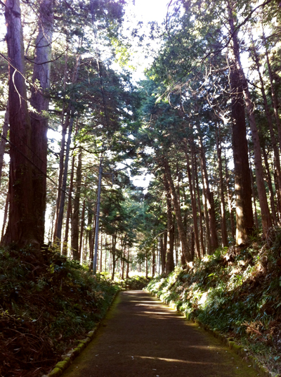 f0026475_23341642.jpg