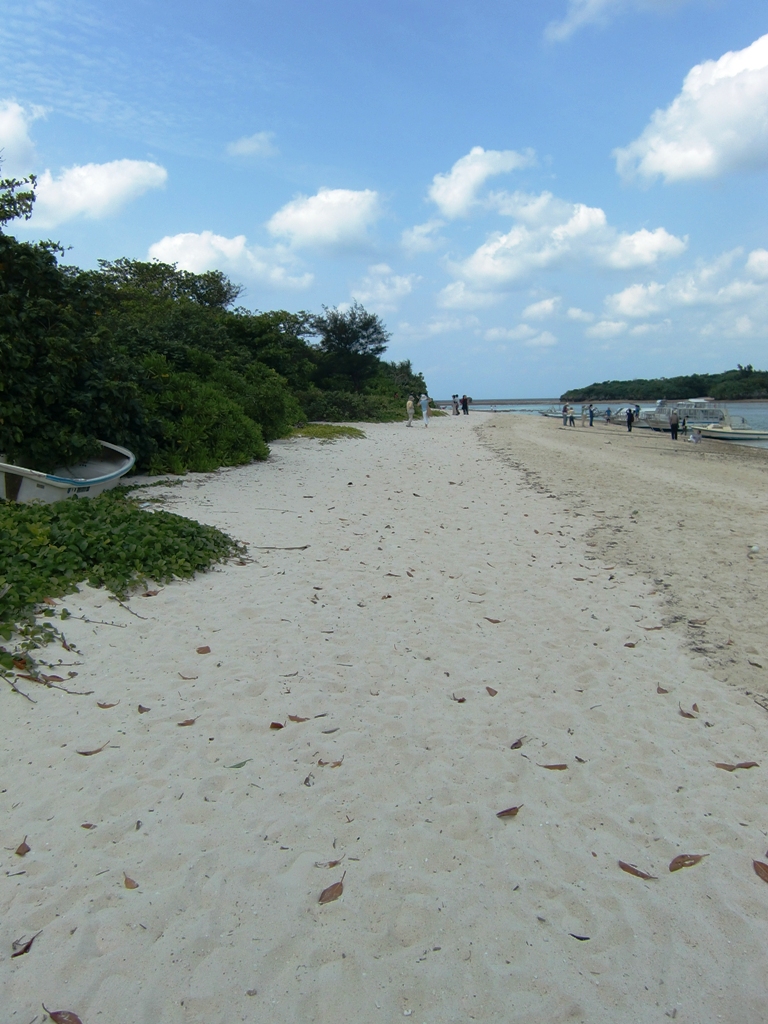 f0238779_6422423.jpg