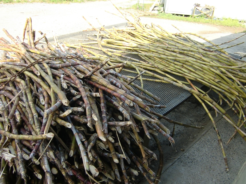 f0238779_6505531.jpg