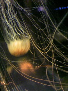 f0100480_23365616.jpg