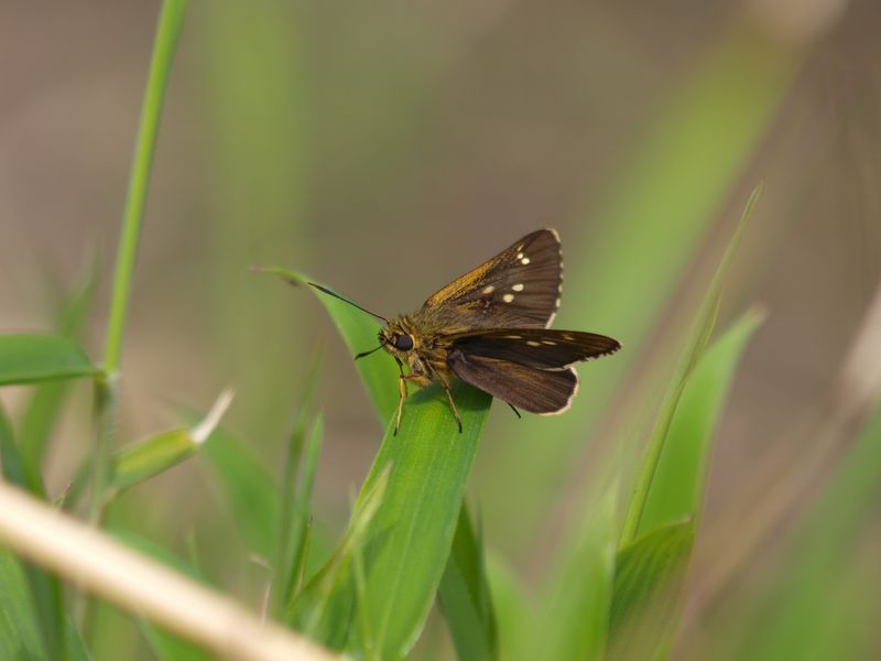 b0108186_20465130.jpg