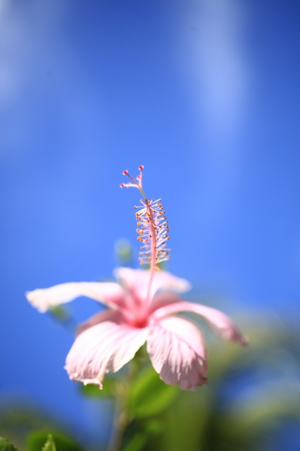 c0073387_21284597.jpg