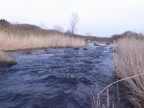 b0178889_11265330.jpg