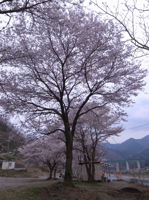 b0178889_11313539.jpg