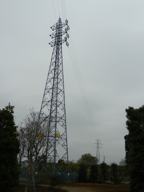 d0224990_1782549.jpg