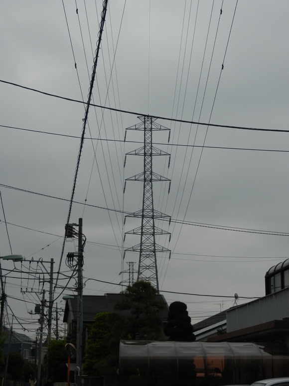 d0224990_1953039.jpg