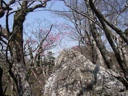 a0222494_18203526.jpg