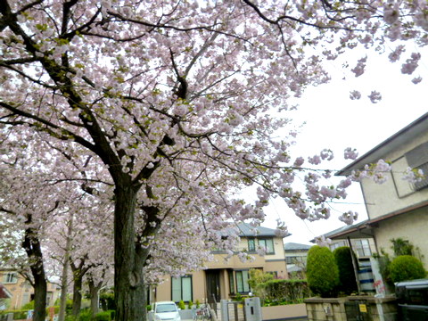f0137694_0484671.jpg