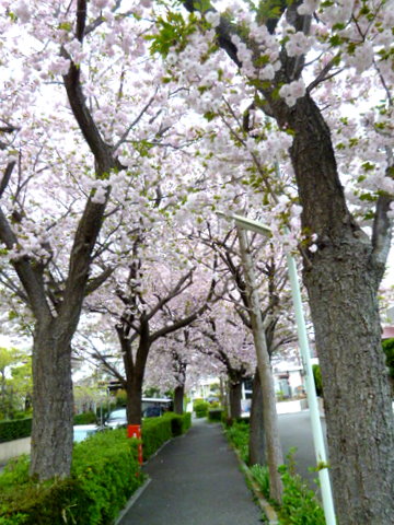 f0137694_048598.jpg