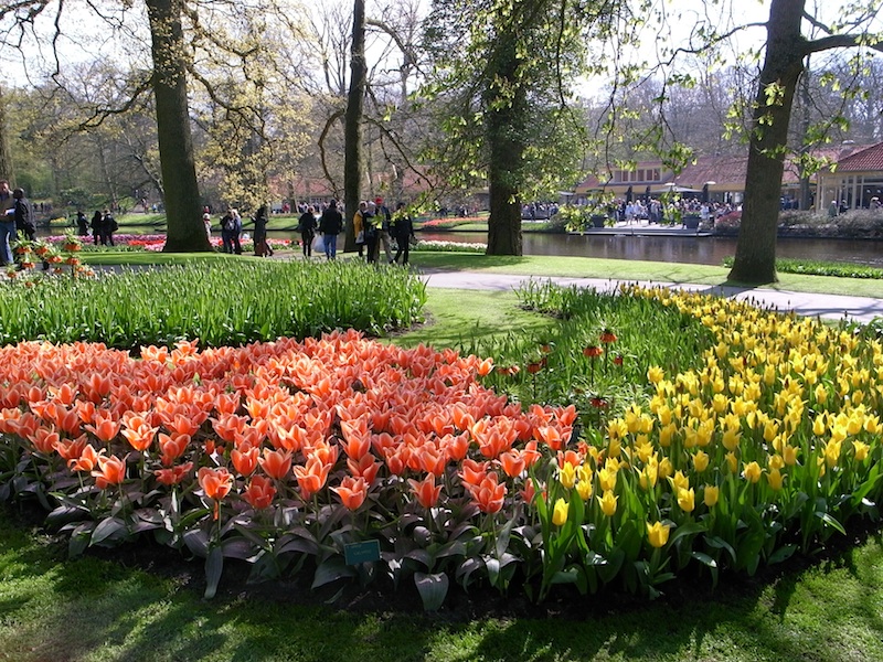 f0108399_3435.jpg