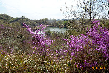 d0001300_20162784.jpg