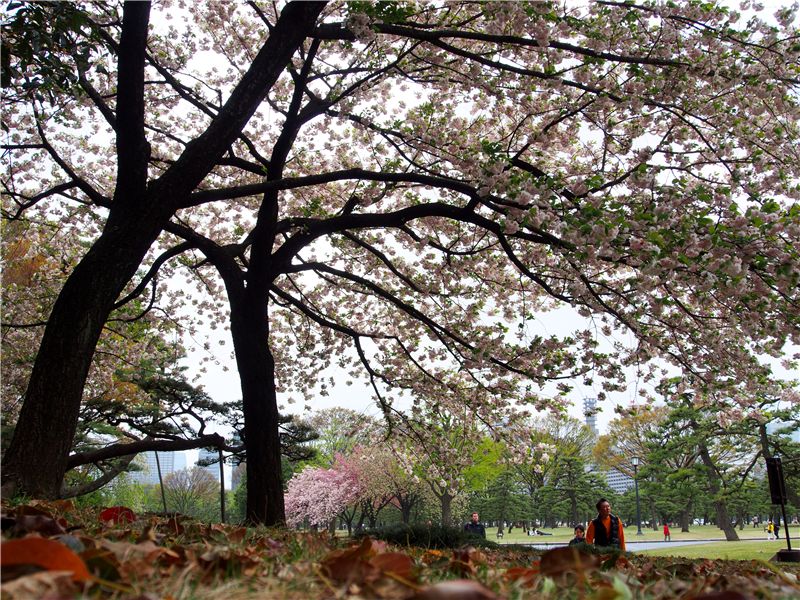 f0224100_9103345.jpg