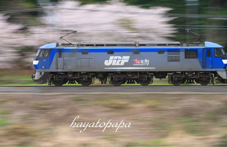 a0223601_952086.jpg