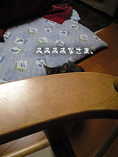 c0035001_14455042.jpg
