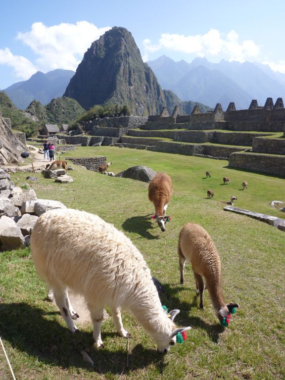 c0072801_8201663.jpg