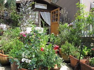 c0152002_16492260.jpg