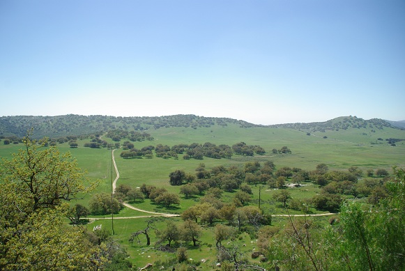 f0038904_14513724.jpg