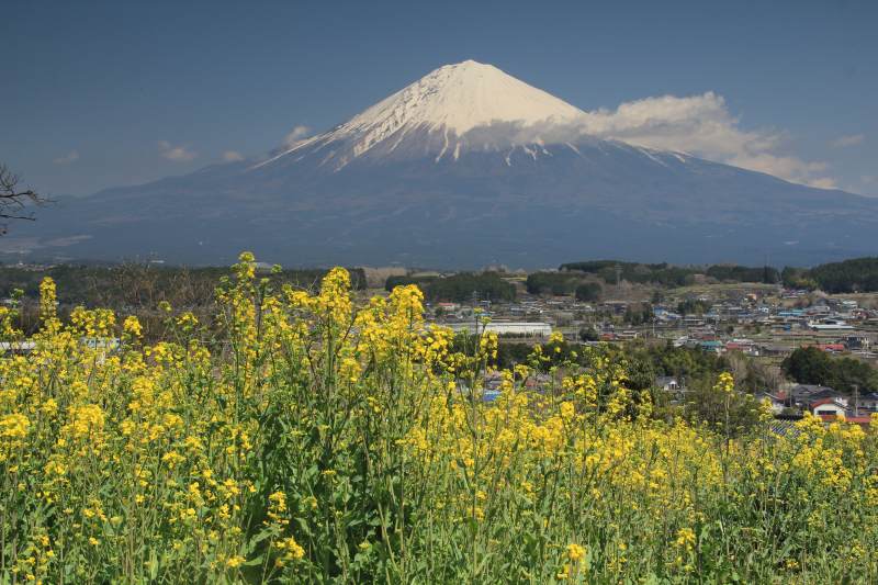 a0188405_17131675.jpg