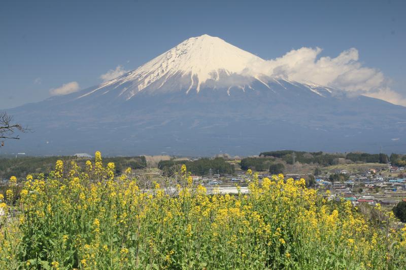a0188405_17133163.jpg