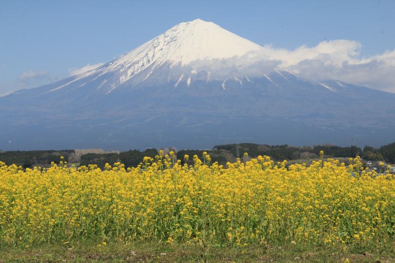 a0188405_17141713.jpg