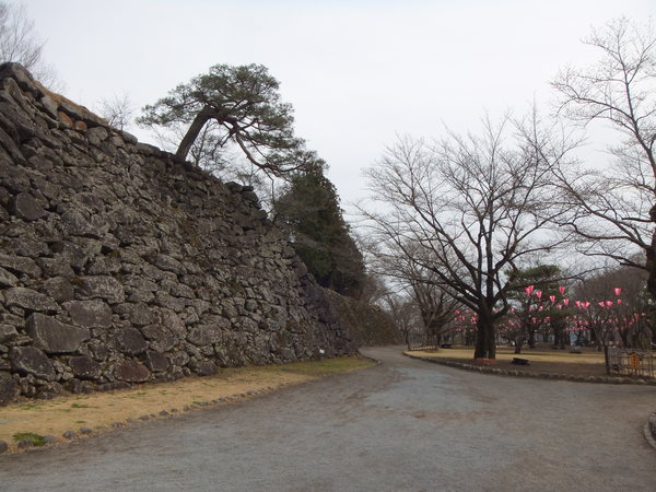 d0149306_813499.jpg
