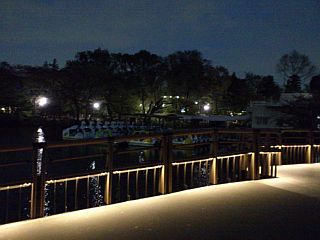 d0131207_2133391.jpg