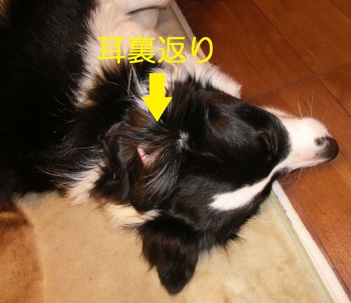 b0239909_17282561.jpg
