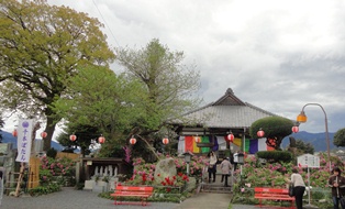 f0231709_1732976.jpg