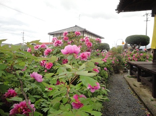 f0231709_17364342.jpg