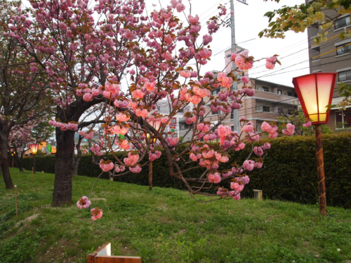 c0175715_1647560.jpg