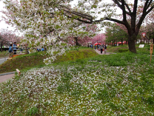 c0175715_16502682.jpg