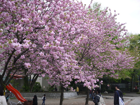 c0193017_23134892.jpg