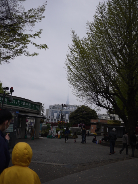 c0193017_23375328.jpg