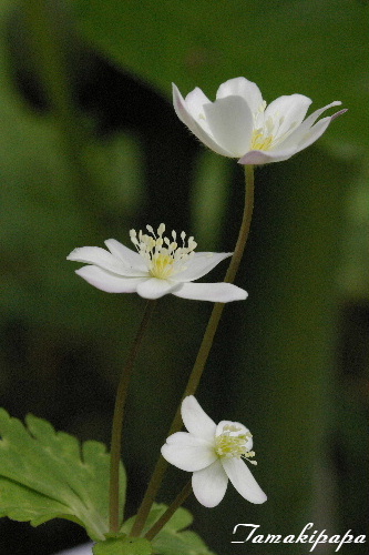 f0212217_225633.jpg