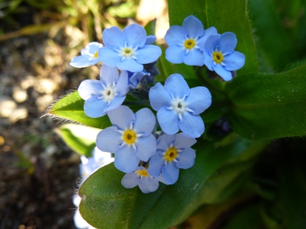 c0042418_9214100.jpg