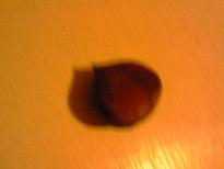c0097620_23265343.jpg