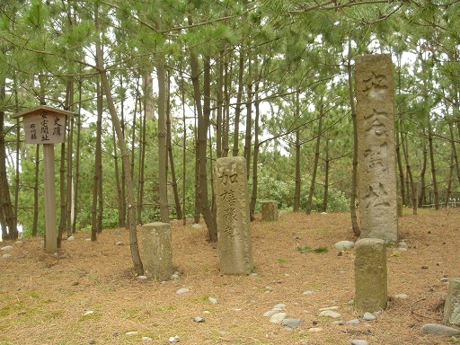 f0000521_4473218.jpg