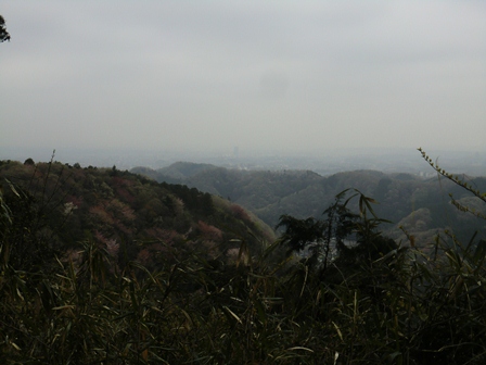 d0130927_932887.jpg