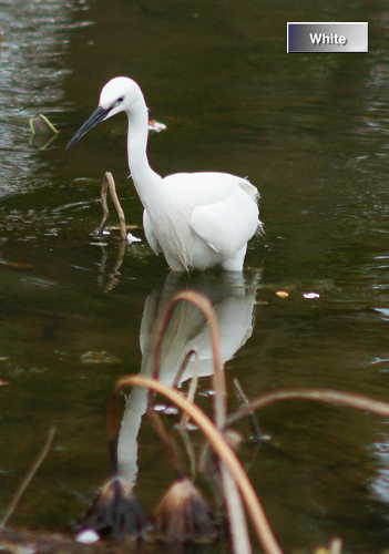 c0227134_1722767.jpg