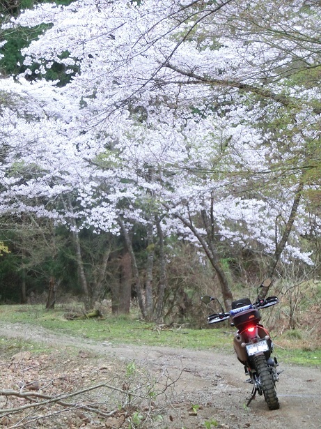 a0143839_2345217.jpg