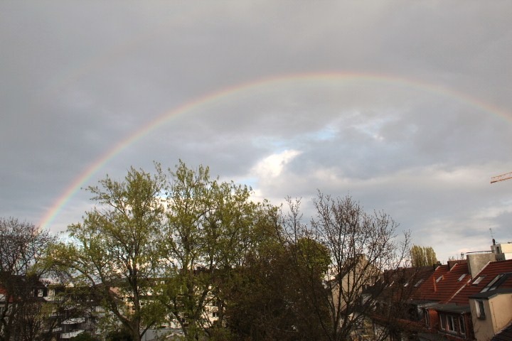 c0153740_2174772.jpg