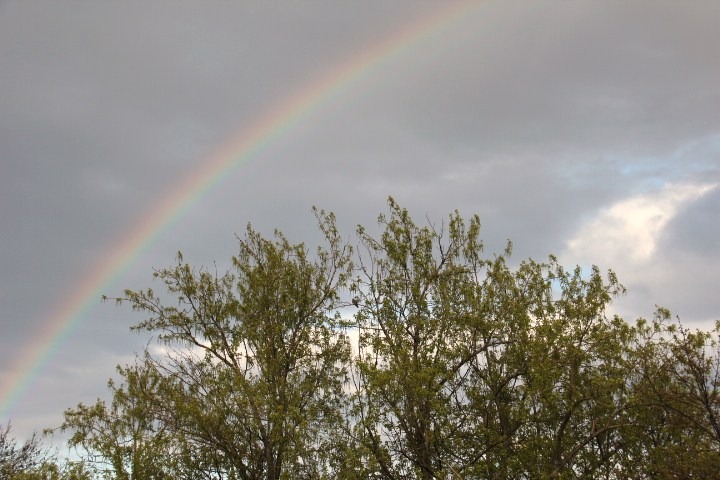 c0153740_2184841.jpg