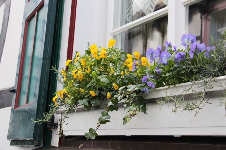 c0153740_22101581.jpg